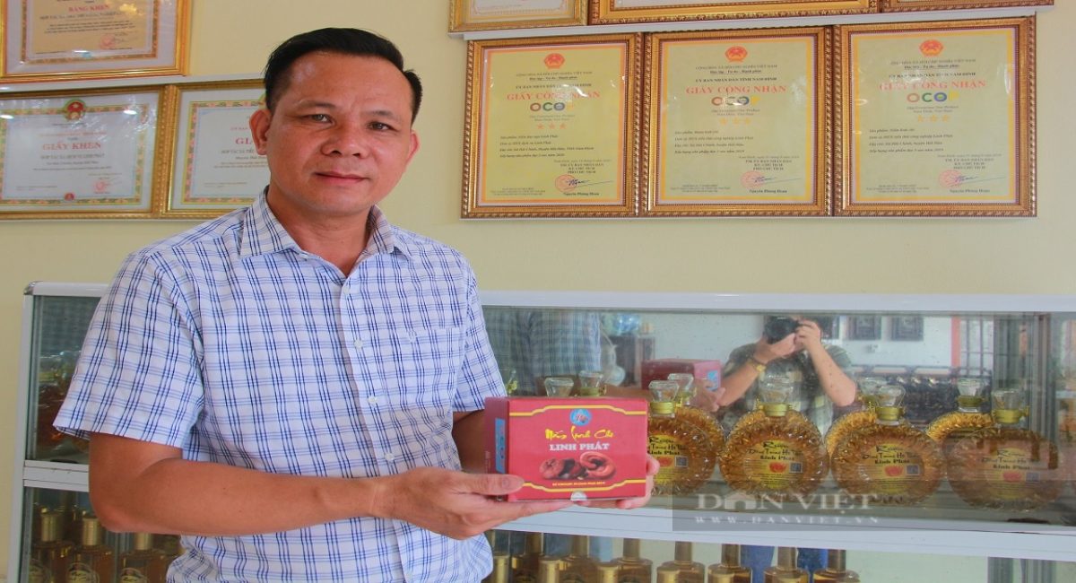 Thu tiền tỷ nhờ trồng nấm đếm không xuể, một Giám đốc ở Nam Định được bình chọn là Nông dân xuất sắc 2023