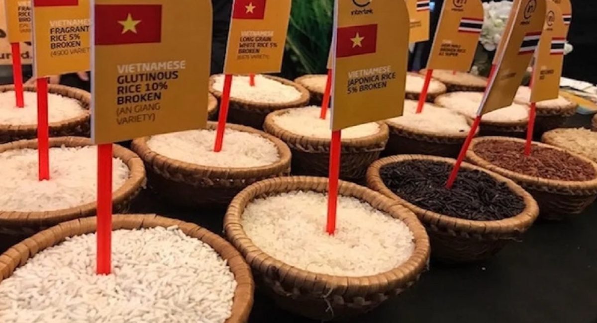 Thương hiệu gạo Việt mờ nhạt sẽ khó cạnh tranh với gạo Thái, gạo Nhật
